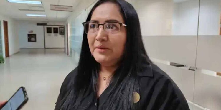 Reconoce diputada de Morena: se quedaron hectáreas sin sembrar por candado en apoyo federal