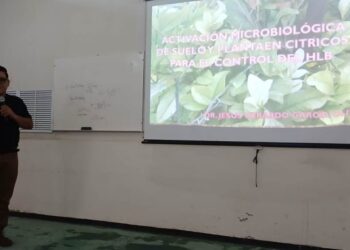 Refuerza Tamaulipas capacitación para proteger cultivos de cítricos ante el HLB
