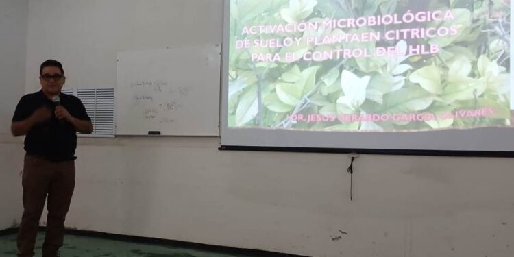 Refuerza Tamaulipas capacitación para proteger cultivos de cítricos ante el HLB
