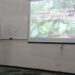 Refuerza Tamaulipas capacitación para proteger cultivos de cítricos ante el HLB
