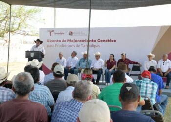 Acerca Tamaulipas ejemplares de alta calidad genética a ganaderos de El Mante
