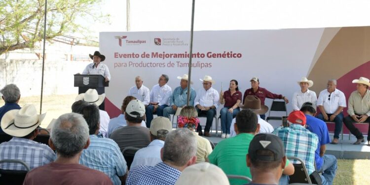 Acerca Tamaulipas ejemplares de alta calidad genética a ganaderos de El Mante