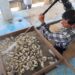 Supervisan unidades de producción de ostión en Las Higuerillas, municipio de Matamoros