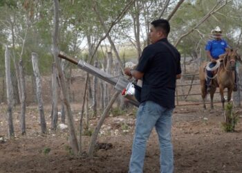 Intensifica Tamaulipas acciones de control en predios afectados por gusano barrenador