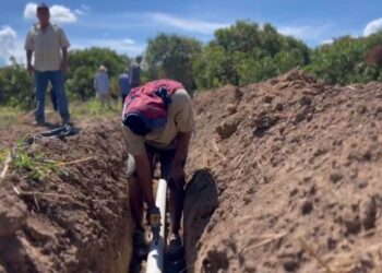 Aplican herramientas técnicas de riego a productores tamaulipecos de la zona citrícola