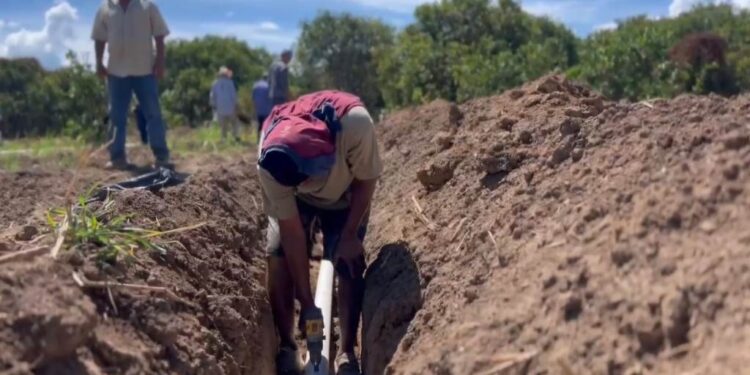 Aplican herramientas técnicas de riego a productores tamaulipecos de la zona citrícola