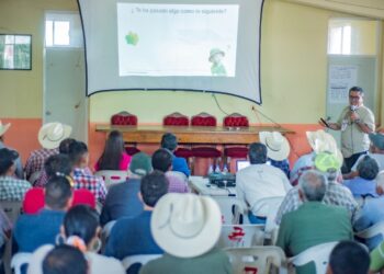 Brindan a productores herramientas para mejorar la fertilidad de los suelos citrícolas