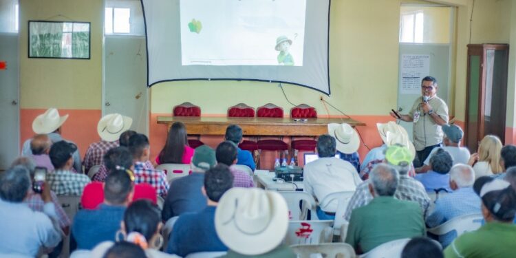 Brindan a productores herramientas para mejorar la fertilidad de los suelos citrícolas