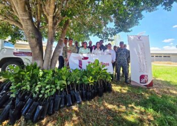Gobierno de Tamaulipas y SEDENA promueven espacios verdes y sustentables en El Mante