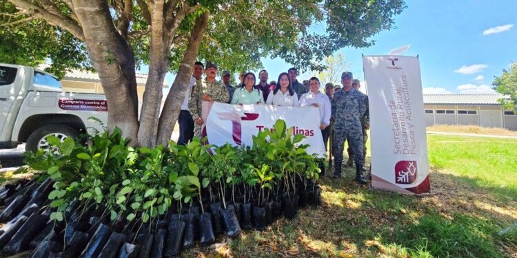 Gobierno de Tamaulipas y SEDENA promueven espacios verdes y sustentables en El Mante