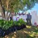 Gobierno de Tamaulipas y SEDENA promueven espacios verdes y sustentables en El Mante