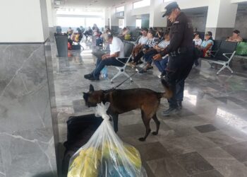 Binomios K-9 de la Guardia Estatal refuerzan la seguridad en Central de Autobuses de Ciudad Victoria