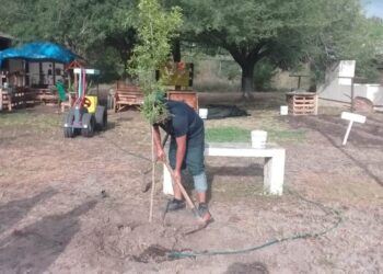 Refrendan adolescentes su compromiso con el medio ambiente como parte de su reinserción social