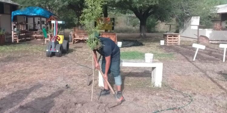 Refrendan adolescentes su compromiso con el medio ambiente como parte de su reinserción social