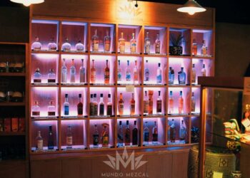 Tamaulipas, estado invitado de honor en festival Mundo Mezcal 2026, que llega a CDMX