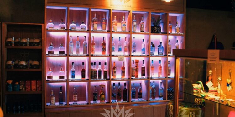 Tamaulipas, estado invitado de honor en festival Mundo Mezcal 2026, que llega a CDMX