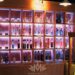 Tamaulipas, estado invitado de honor en festival Mundo Mezcal 2026, que llega a CDMX
