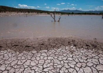 Bajo presión ganaderos por falta de lluvias