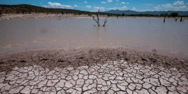 Bajo presión ganaderos por falta de lluvias