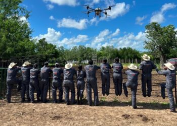 Refuerza la UAT brigadas de contención frente al gusano barrenador en Tamaulipas