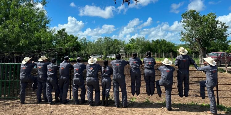 Refuerza la UAT brigadas de contención frente al gusano barrenador en Tamaulipas