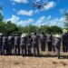 Refuerza la UAT brigadas de contención frente al gusano barrenador en Tamaulipas