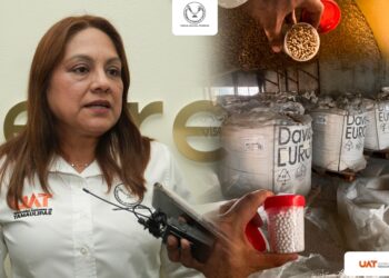 La UAT transformará desechos industriales de Gas Burgos en materiales para la construcción de viviendas