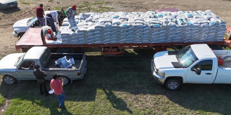 Concluye distribución de 662.5 toneladas de fertilizante a citricultores