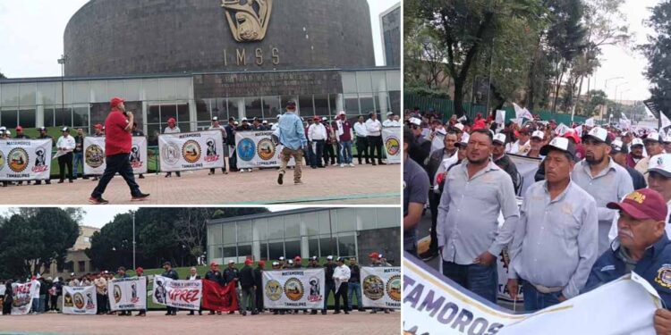 Se alinean gremios de Matamoros con alianza nacional de Morena